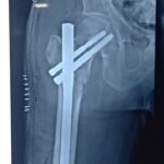 WhatsApp Image 2026-02-12 at 12.36.31 (1)