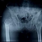 WhatsApp Image 2026-02-12 at 12.36.31