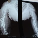 WhatsApp Image 2026-02-12 at 12.36.32 (2)