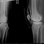 WhatsApp Image 2026-02-12 at 12.39.17 (1)