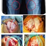 WhatsApp Image 2026-02-12 at 12.39.18